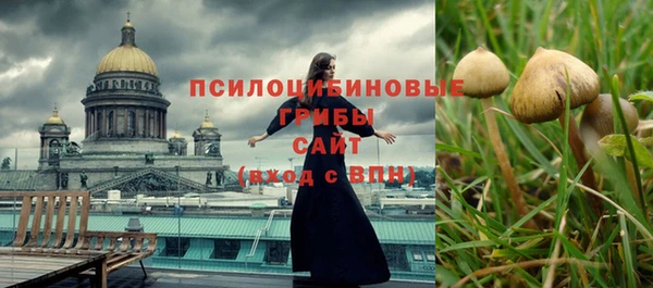 твердый Вязьма