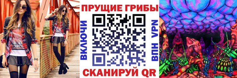 Галлюциногенные грибы мицелий  где найти   Каргополь 